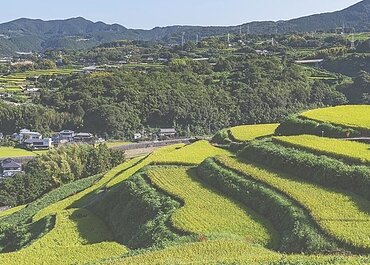 東彼杵町の外壁塗装・屋根塗装｜失敗しない施工ポイントと地域特化の高月塗装の強みのイメージ