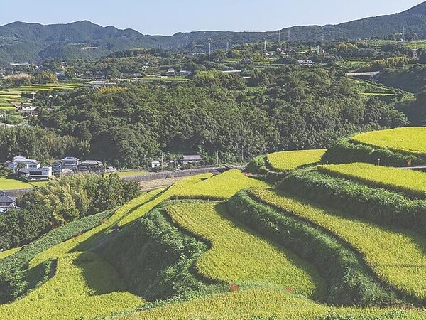 東彼杵町の外壁塗装・屋根塗装｜失敗しない施工ポイントと地域特化の高月塗装の強みの画像
